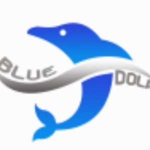 BLUE DOLPHIN YACHT CHARTER LLC