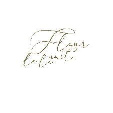 FLEUR DE LA NUIT FASHION LLC